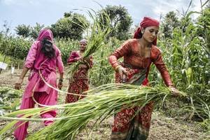 Photo: ©Chris Steele-Perkins/Magnum Photos for FAO